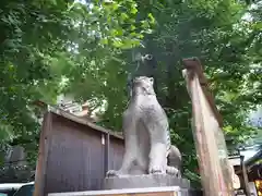 稲荷鬼王神社の狛犬