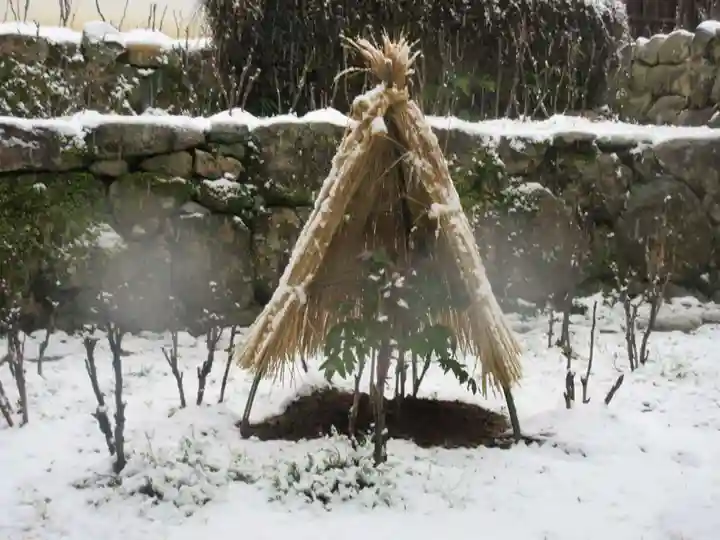長谷寺(奈良県)