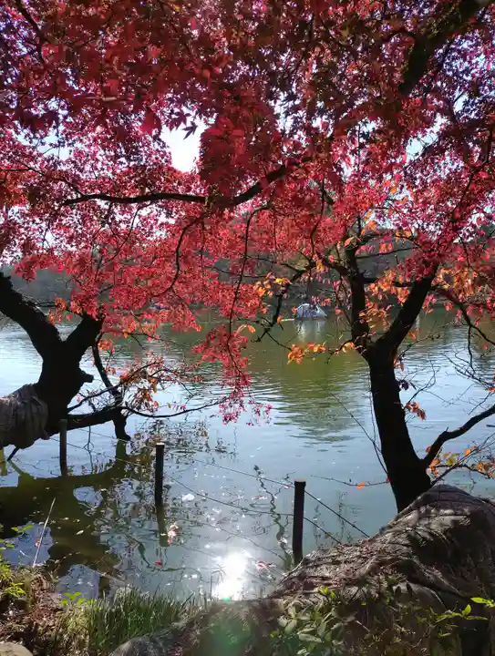 井の頭弁財天(大盛寺)(東京都)