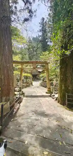 石鉄寺の{uncategorized: "未分類", other: "その他", undefined: "問題あり", building: "その他建物", grave: "お墓", sacred_gate: "鳥居", guardian: "狛犬", statue: "像", buddha: "仏像", history: "歴史", nature: "自然", garden: "庭園", animal: "動物", pagoda: "塔", temizu: "手水舎", mountain_gate: "山門・神門", sanctuary: "本殿・本堂", subordinate: "末社・摂社", art: "芸術", scenery: "景色", jizo: "地蔵", ema: "絵馬", goshuin: "御朱印", omikuji: "おみくじ", items: "授与品その他", amulet: "お守り", goshuincho: "御朱印帳", eats: "食事", festival: "お祭り", votive_dance: "神楽", shichigosan: "七五三参", wedding: "結婚式", experience: "体験その他", initially: "初詣", around: "周辺", anti_infection: "感染症対策"}