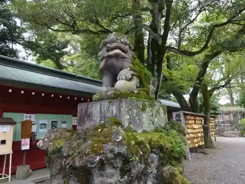 大國魂神社の狛犬