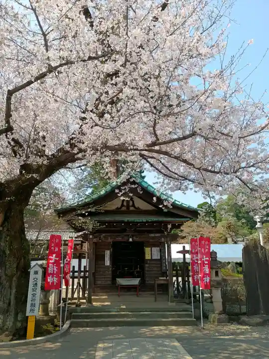 喜多院の{uncategorized: "未分類", other: "その他", undefined: "問題あり", building: "その他建物", grave: "お墓", sacred_gate: "鳥居", guardian: "狛犬", statue: "像", buddha: "仏像", history: "歴史", nature: "自然", garden: "庭園", animal: "動物", pagoda: "塔", temizu: "手水舎", mountain_gate: "山門・神門", sanctuary: "本殿・本堂", subordinate: "末社・摂社", art: "芸術", scenery: "景色", jizo: "地蔵", ema: "絵馬", goshuin: "御朱印", omikuji: "おみくじ", items: "授与品その他", amulet: "お守り", goshuincho: "御朱印帳", eats: "食事", festival: "お祭り", votive_dance: "神楽", shichigosan: "七五三参", wedding: "結婚式", experience: "体験その他", initially: "初詣", around: "周辺", anti_infection: "感染症対策"}