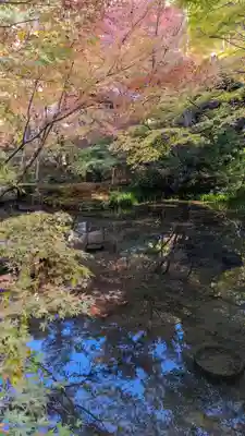 圓光寺(京都府)