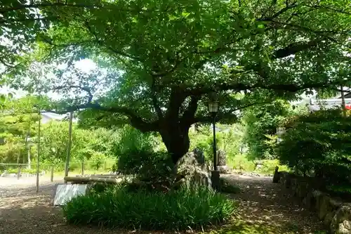 放生院常光寺の庭園