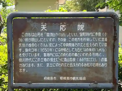 天応院(神奈川県)