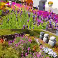 寿量山 速成寺(奈良県)