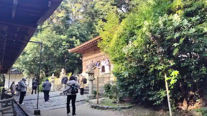 宇治上神社(京都府)