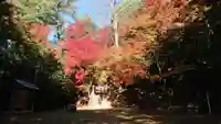 諏訪神社の景色