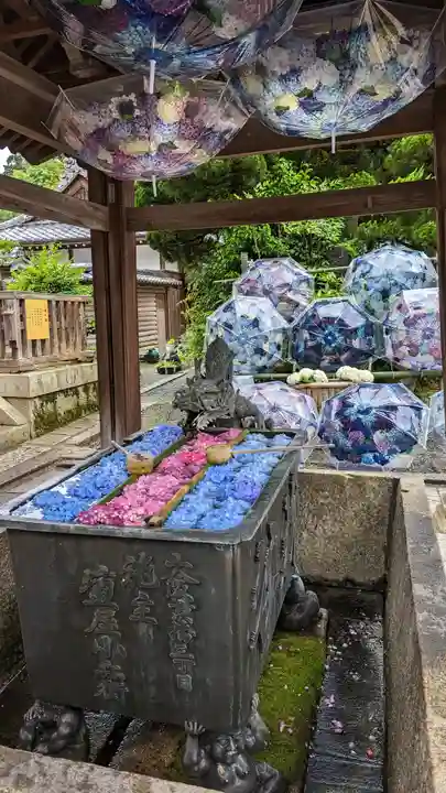 柳谷観音 楊谷寺(京都府)