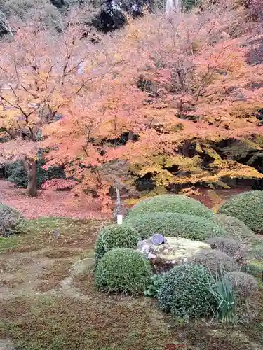 雲龍院(京都府)