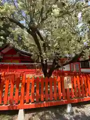 金櫻神社の庭園