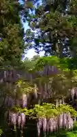 歌泉堂(春日大社神苑萬葉植物園内鎮座)(奈良県)