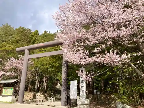 北海道神宮の鳥居