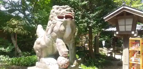 岩槻久伊豆神社の狛犬