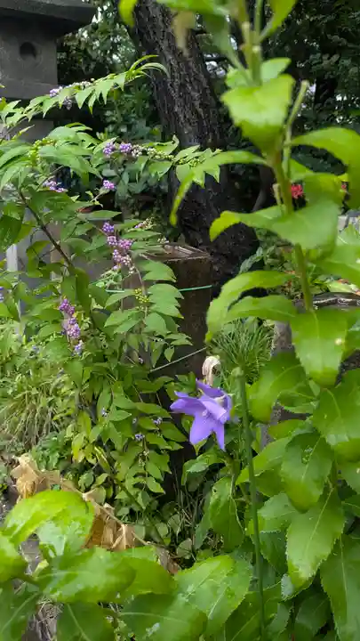 全興寺(大阪府)