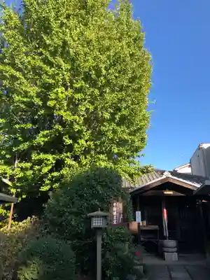 大報恩寺（千本釈迦堂）(京都府)