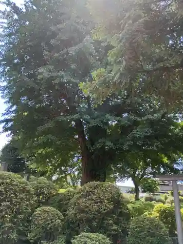 根津神社(東京都)