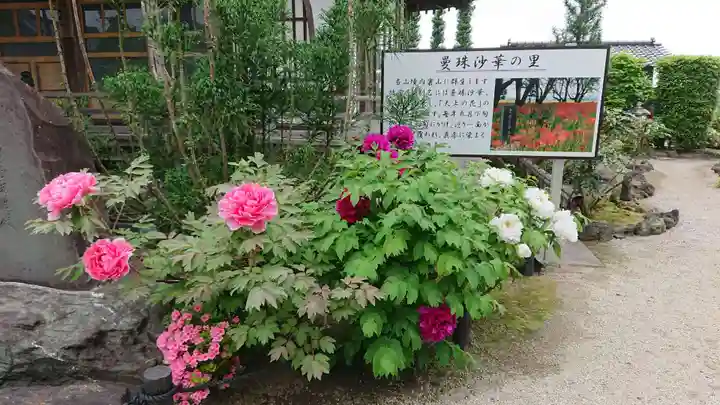 恩林寺(群馬県)