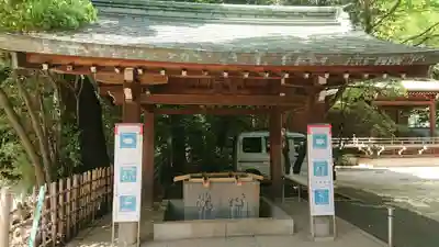 渋谷氷川神社の手水舎