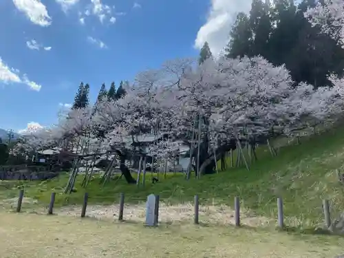 飛騨一宮水無神社の庭園