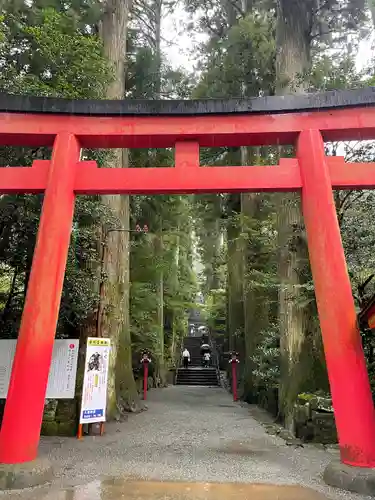 箱根神社の鳥居