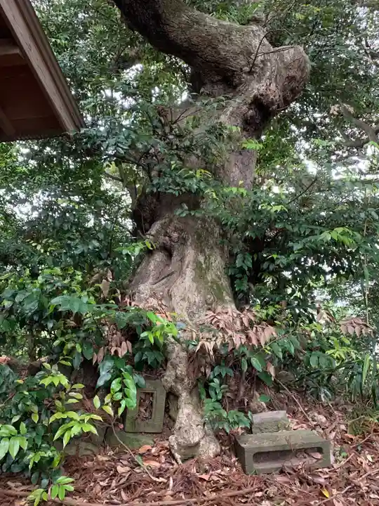 三福寺(千葉県)