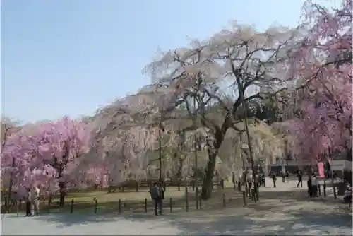 清雲寺(埼玉県)