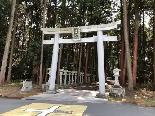 瀧樹神社の鳥居