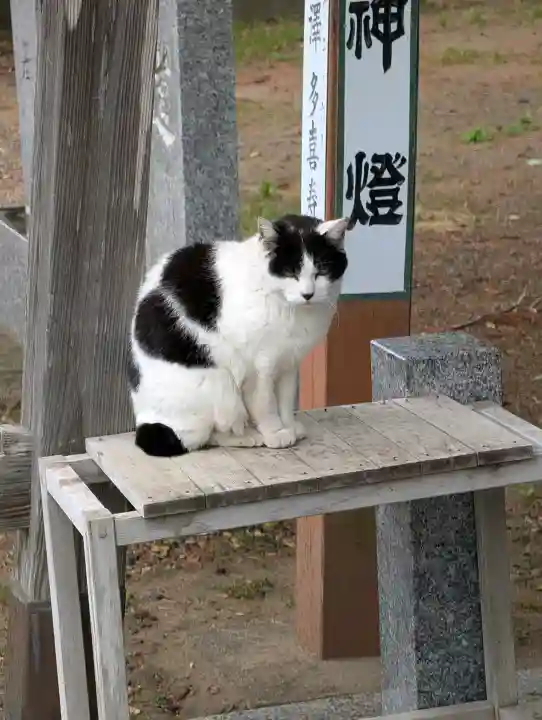 鎌数伊勢大神宮の{uncategorized: "未分類", other: "その他", undefined: "問題あり", building: "その他建物", grave: "お墓", sacred_gate: "鳥居", guardian: "狛犬", statue: "像", buddha: "仏像", history: "歴史", nature: "自然", garden: "庭園", animal: "動物", pagoda: "塔", temizu: "手水舎", mountain_gate: "山門・神門", sanctuary: "本殿・本堂", subordinate: "末社・摂社", art: "芸術", scenery: "景色", jizo: "地蔵", ema: "絵馬", goshuin: "御朱印", omikuji: "おみくじ", items: "授与品その他", amulet: "お守り", goshuincho: "御朱印帳", eats: "食事", festival: "お祭り", votive_dance: "神楽", shichigosan: "七五三参", wedding: "結婚式", experience: "体験その他", initially: "初詣", around: "周辺", anti_infection: "感染症対策"}