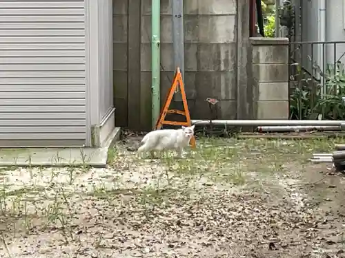 上落合神明神社(埼玉県)