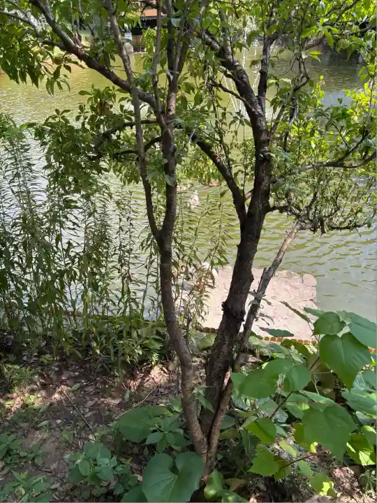 生田神社(兵庫県)