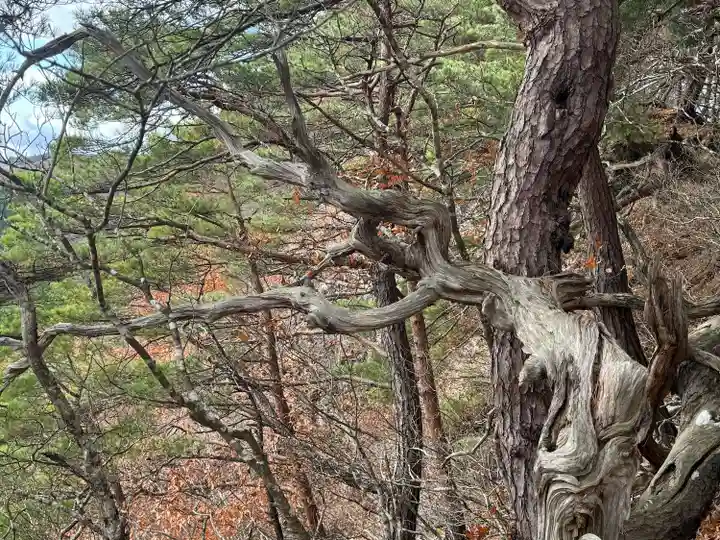 龍興山神社(青森県)