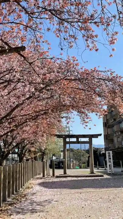 住吉神社(大阪府)
