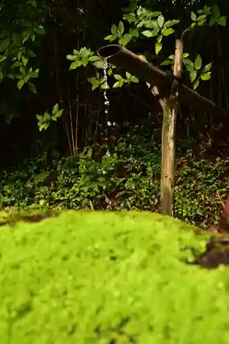 神魂神社(島根県)