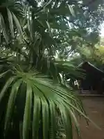 白髭社(愛知県)