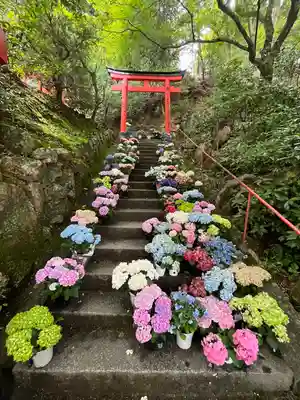 柳谷観音　楊谷寺(京都府)