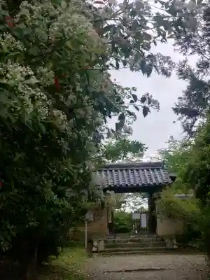 海龍王寺の{uncategorized: "未分類", other: "その他", undefined: "問題あり", building: "その他建物", grave: "お墓", sacred_gate: "鳥居", guardian: "狛犬", statue: "像", buddha: "仏像", history: "歴史", nature: "自然", garden: "庭園", animal: "動物", pagoda: "塔", temizu: "手水舎", mountain_gate: "山門・神門", sanctuary: "本殿・本堂", subordinate: "末社・摂社", art: "芸術", scenery: "景色", jizo: "地蔵", ema: "絵馬", goshuin: "御朱印", omikuji: "おみくじ", items: "授与品その他", amulet: "お守り", goshuincho: "御朱印帳", eats: "食事", festival: "お祭り", votive_dance: "神楽", shichigosan: "七五三参", wedding: "結婚式", experience: "体験その他", initially: "初詣", around: "周辺", anti_infection: "感染症対策"}