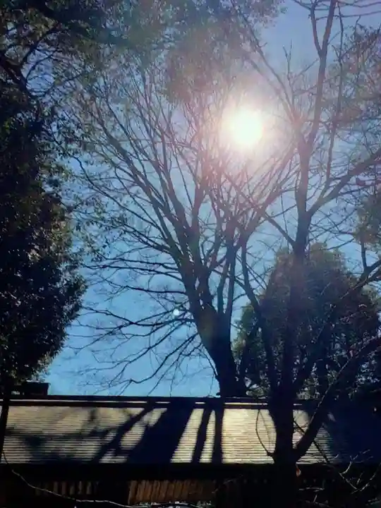 阿佐ヶ谷神明宮(東京都)