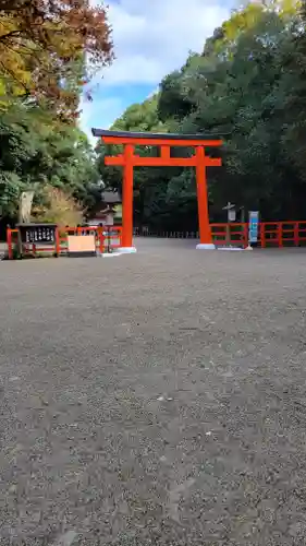 賀茂御祖神社（下鴨神社）の鳥居