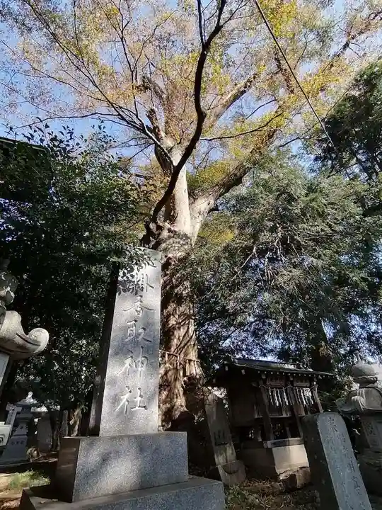 沓掛香取神社のその他建物