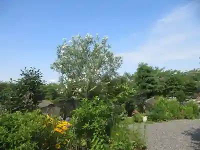 泉竜寺(乙女不動尊)(栃木県)