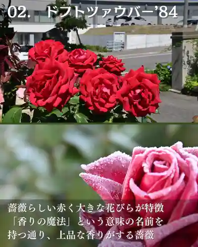 宝光寺(北海道)