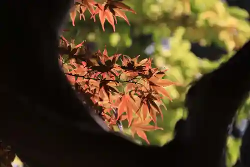 豊景神社の自然
