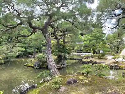 慈照寺（慈照禅寺・銀閣寺）(京都府)