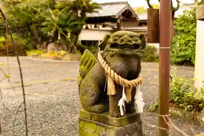 疋野神社(熊本県)