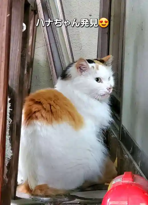 阿邪訶根神社(福島県)