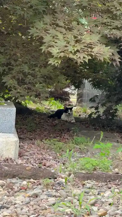 森町稲荷神社(北海道)