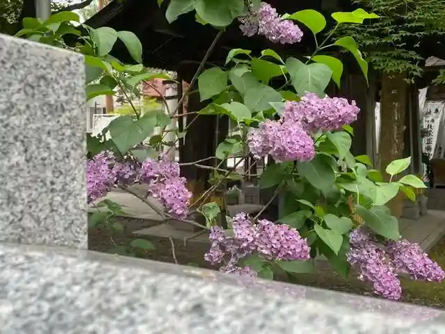 彌彦神社 (伊夜日子神社)の自然