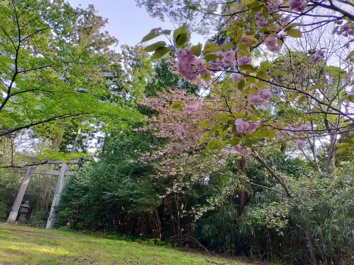 鳥海山大物忌神社吹浦口ノ宮の自然