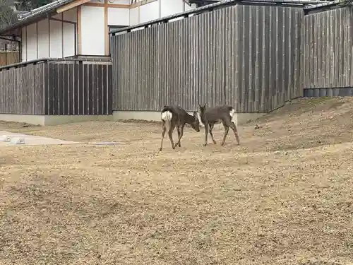 東大寺戒壇院戒壇堂(奈良県)
